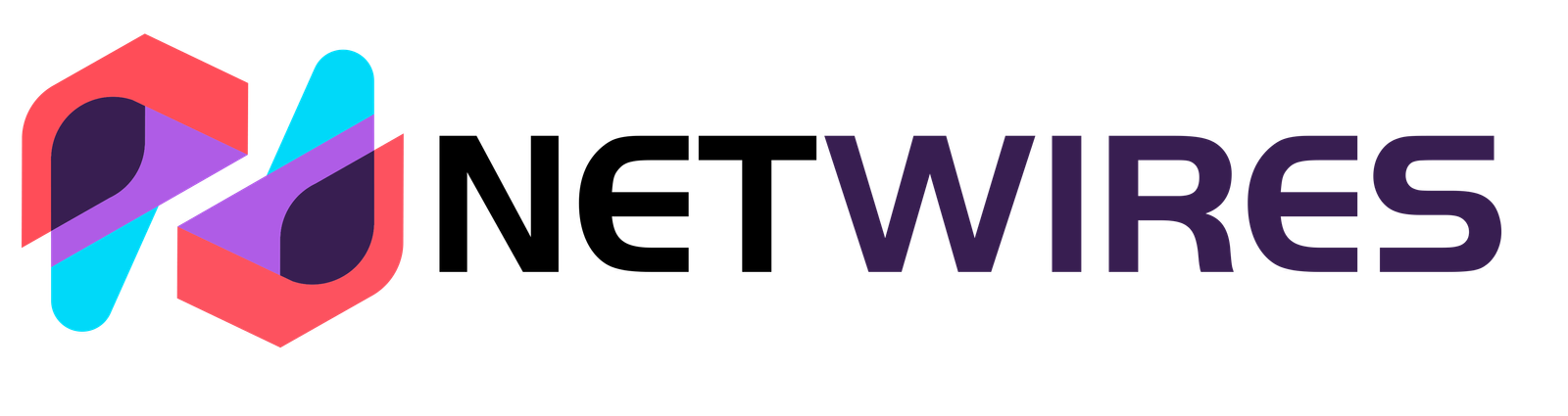 Netwires Logo